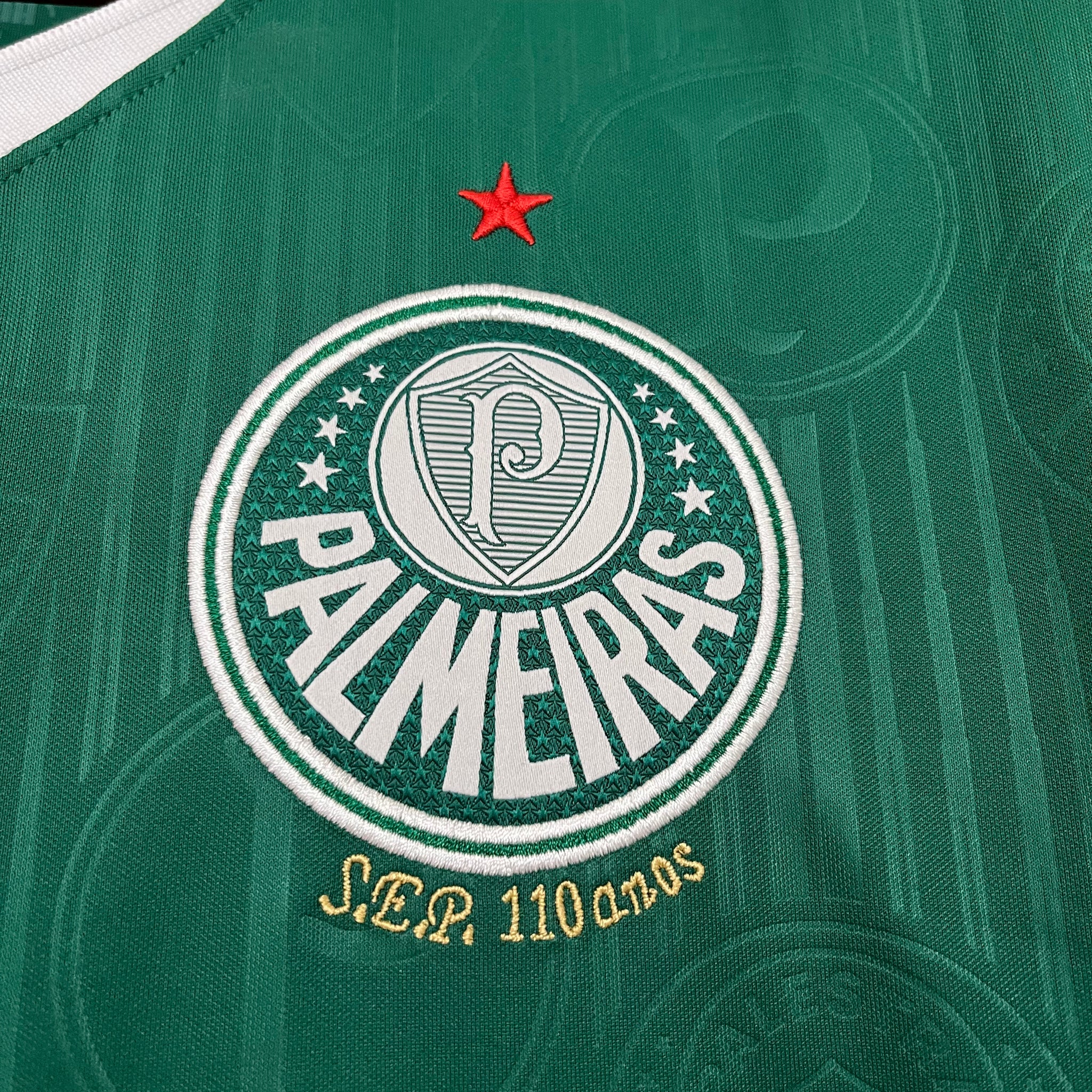 Palmeiras Home 2024 Jersey