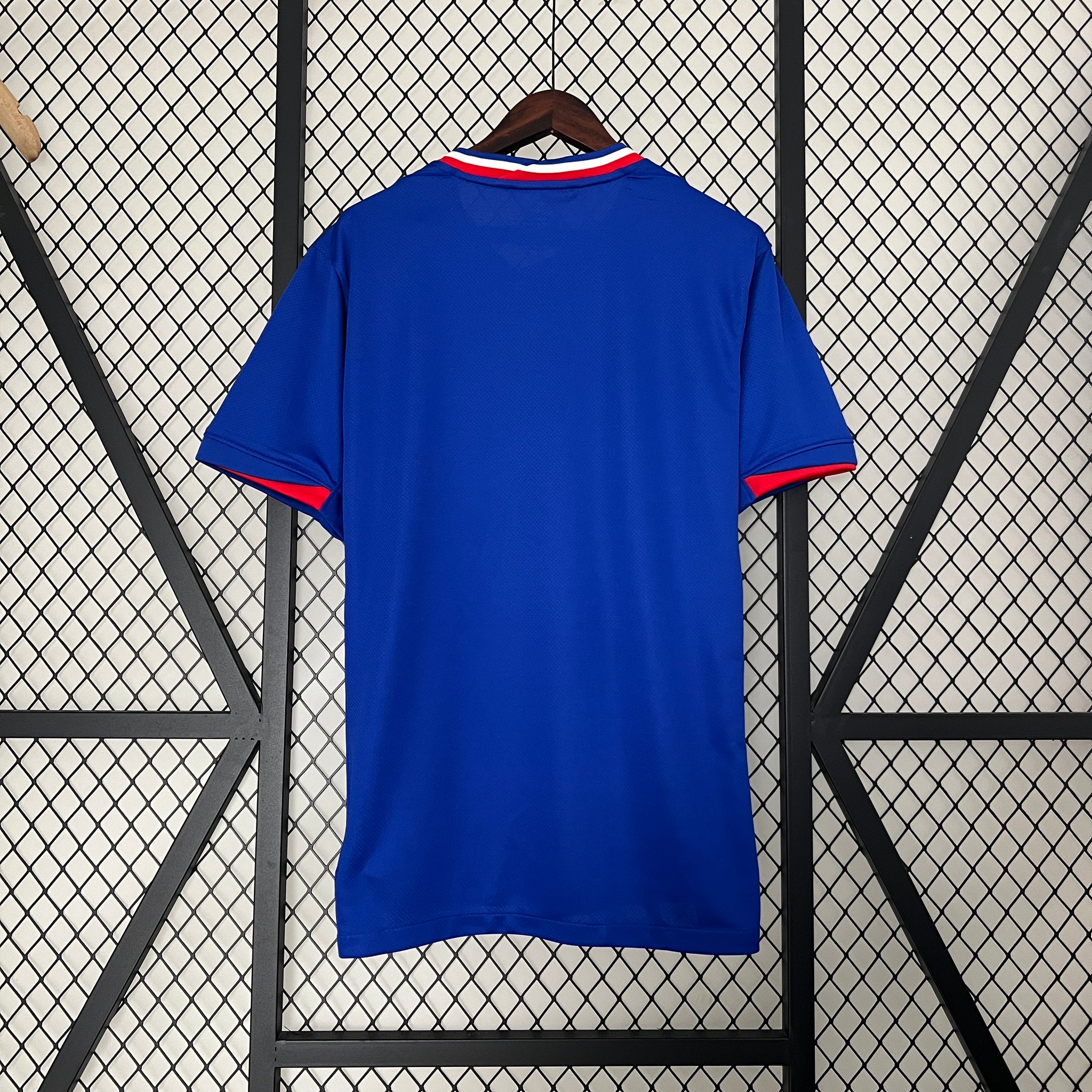 Selección Francia 24 Home Jersey - Euro