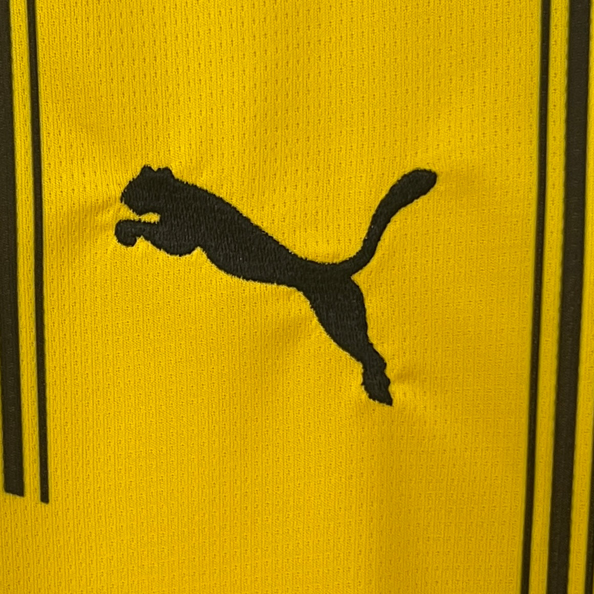 Borussia Dortmund Home 2024 Jersey